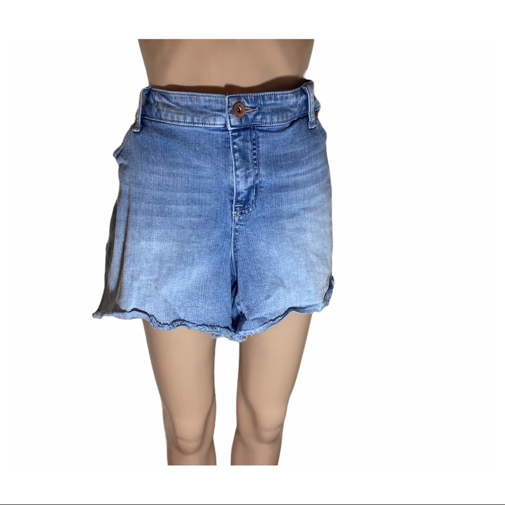 Torrid Plus Size Denim Shorts Size 24 High Rise Frayed Hem Casual Summer - Picture 2 of 7